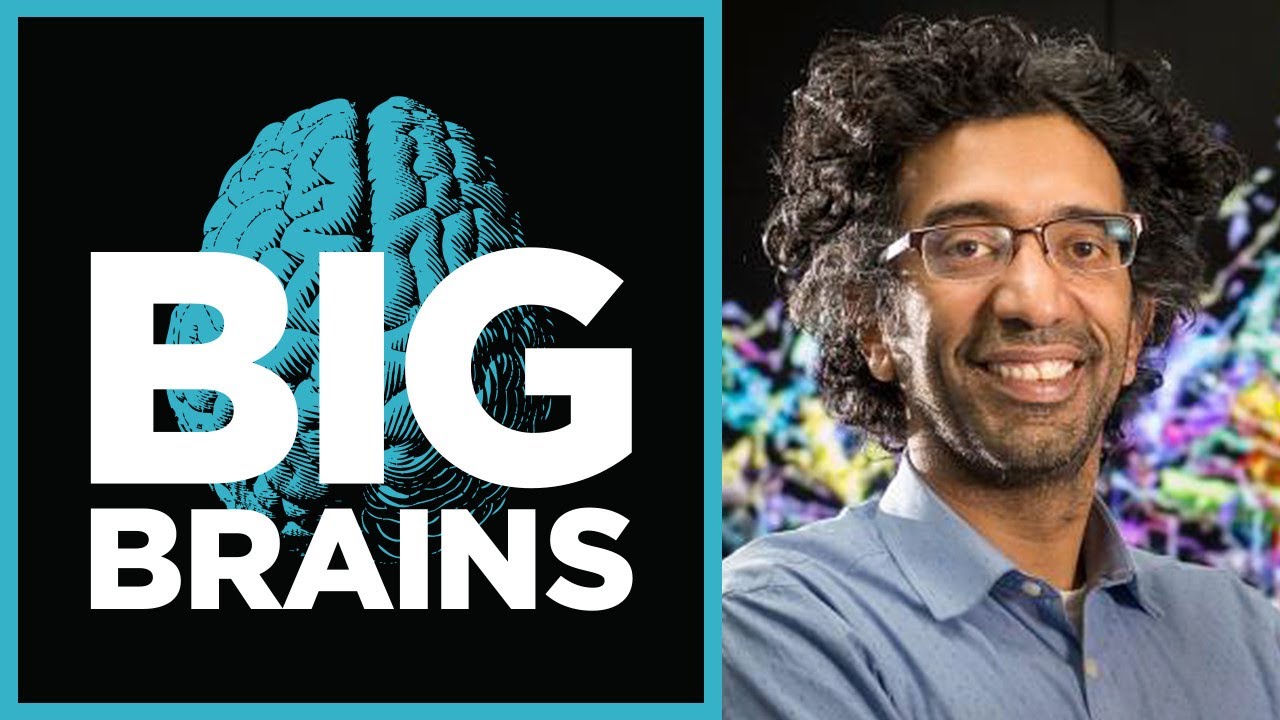 Картирование человеческого мозга с Бобби Кастури (эпизод 12) - Подкаст Big Brains