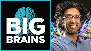 Mapping the Human Brain with Bobby Kasthuri (Ep. 12) - Big Brains Podcast