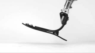 Aeris Solution - Le Pied du Quotidien