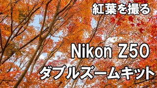 Nikon Z50のダブルズームキットで紅葉を撮りに行く　NIKKOR Z DX 16-50mm f/3.5-6.3 VR、NIKKOR Z DX 50-250mm f/4.5-6.3 VR