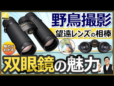 Nikon カメラ レンズ プロジェクター 双眼鏡まとめセット
