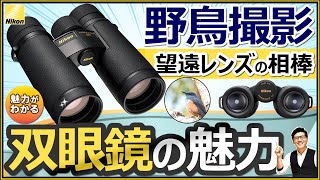 Nikon 双眼鏡を野鳥撮影や望遠レンズと一緒に使うべき理由を解説 【カメラだけでは非効率かも？】使用感から EDG MONARCH ProStaff がオススメ。