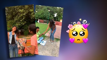 New Aadivasi status video | Gamit timli tone status video #vasava_status #gamit_status