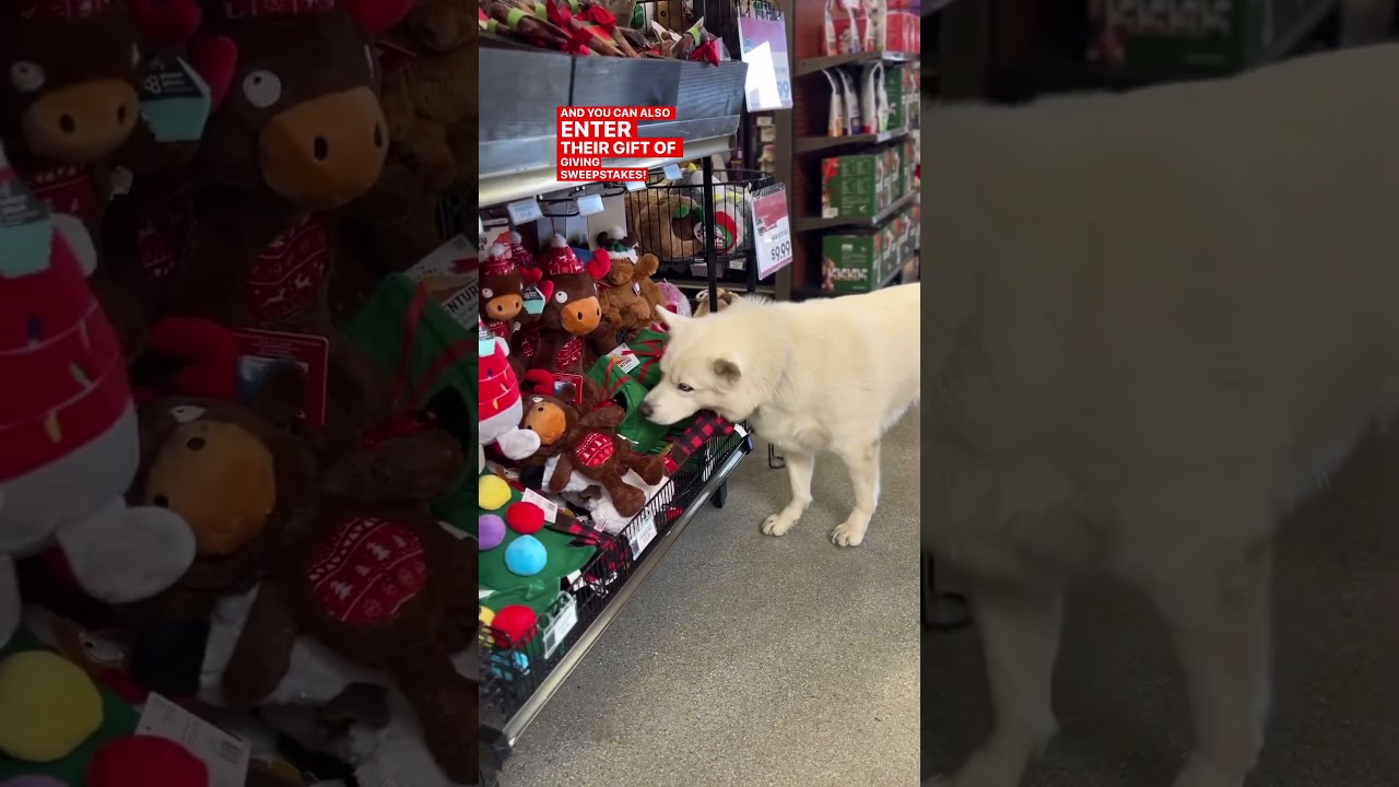 Get ready for the holidays! Shop at 