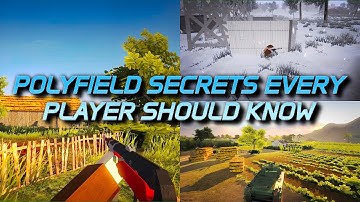 5 TIPS Every Player Should Know In Polyfield