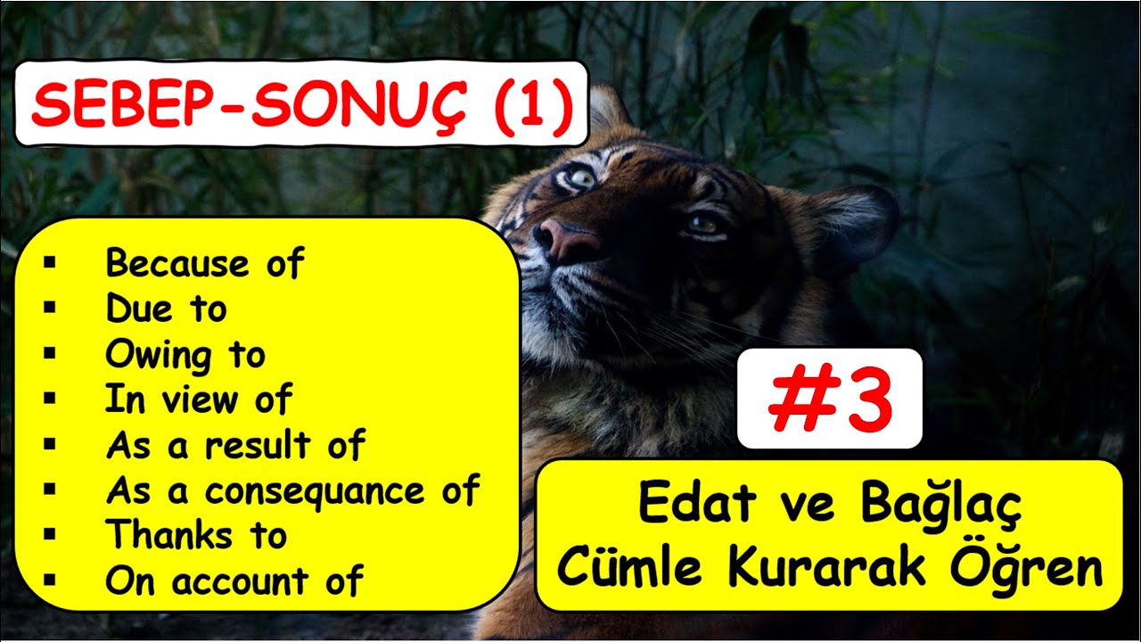 #3 (because of, due to, owing to, as a result of, thanks to) BAĞLAÇ ve EDAT'LARLA CÜMLE KURUYORUM