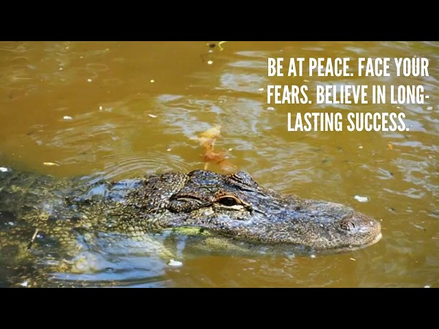 Rise Through The Fear | Inspirational Motivation Song