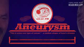 Aneurysm .fm S2B2 - Java Raiders - Shooting 350Zs