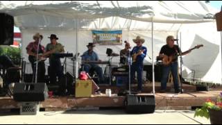 Whiskey Drinkin' Fool by Davy Allard