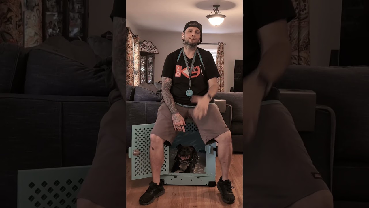 Crate training is cruel? Bro, my dog’s living better than I am. 😂🐶