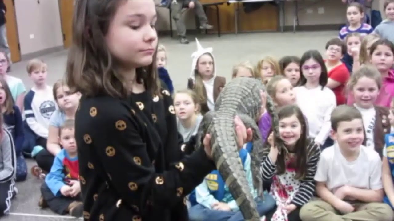 First Reptile Show of 2019!