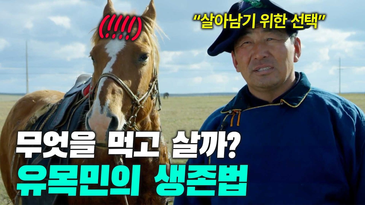 [4K] [풀버전] 말젖, 낙타젖, 야크젖 등 젖 총출동! 몽골족과 티벳족의 전통 유제품! [삭힘의 미학 2] 1부 몰아보기 [Aesthetics of Fermentation 2]