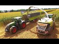 Mais 2020 / LU Steyns / Großeinsatz Fendt 942 / Claas Jaguar 980 / Biogas / Bergmann / Häckseln XXL