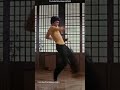 Bruce Lee Lightning-Fast Kick in 0.5X Slow Motion