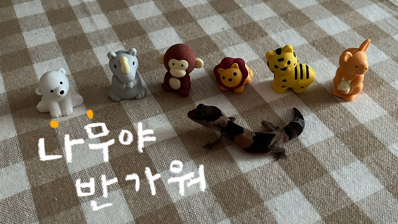 아기 펫테일 입양했어요🌳🪵 ㅣ 입양 첫 날 ㅣ 펫테일게코 ㅣ 펫테일게코 키우기