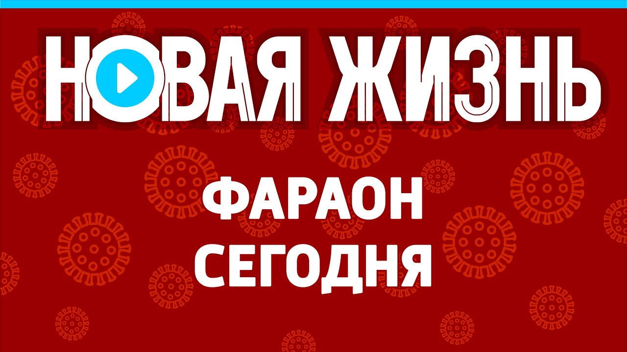 Фараон в машине