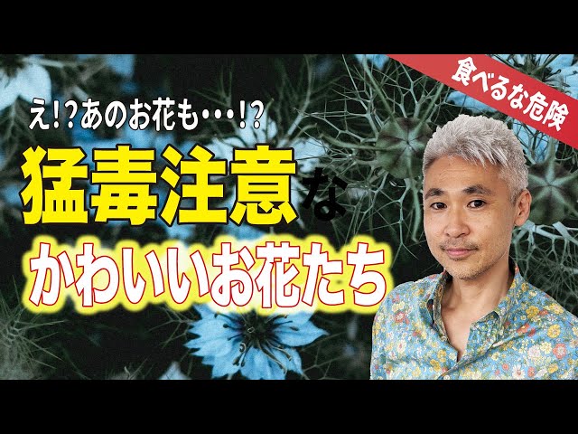 毒花 4133e467cf2ad227b7cffe7fa21a08