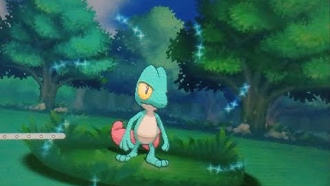 [WSHC 2022-23 #2] Shiny Treecko in Omega Ruby after 1,332 Soft Resets!