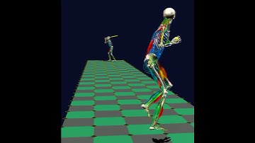 Baseball biomechanics 2