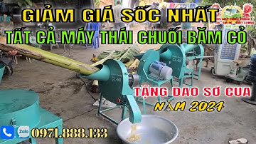 Gía Bán Mới Nhất Tất Cả Mẫu Thái Chuối Băm Cỏ Đa Năng Tháng 3 Năm 2024