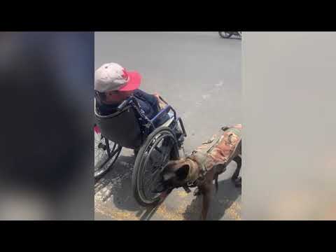 YouTube video