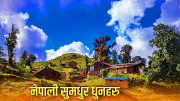 Nepali Flute Music - Himalayan Flute Music बाँसुरीको मिठो धुन (Nepali Evergreen Flute Music )