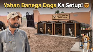 Yahan Banega Dogs Ka Shandar Setup! 🔥 | Jagah Final Ho Gayi