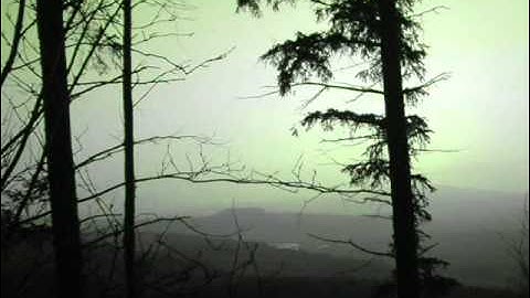 Sh101 Roland - Smooth Streaming