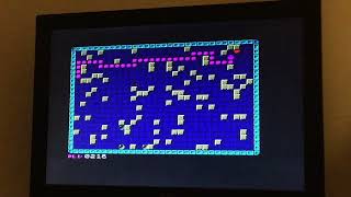 ZX Spectrum / Brutal Worms [Default] 500