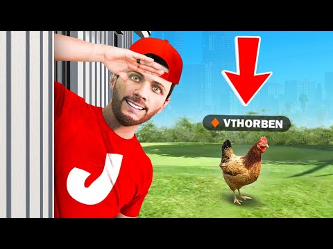 Verstoppertje Als Dieren