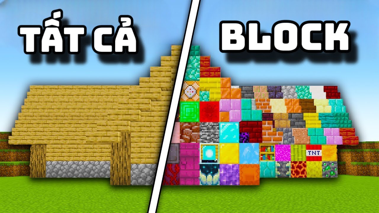 Tôi Đã Thu Thập TẤT CẢ MỌI BLOCK Trong Minecraft !