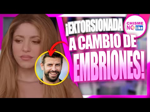 PIQUÉ SACÓ JUGOSA SUMA A SHAKIRA A CAMBIO DE EMBRIONES ELLA PERDIÓ UNA NIÑA Y ÉL SE EMBOLSÓ MILLONES