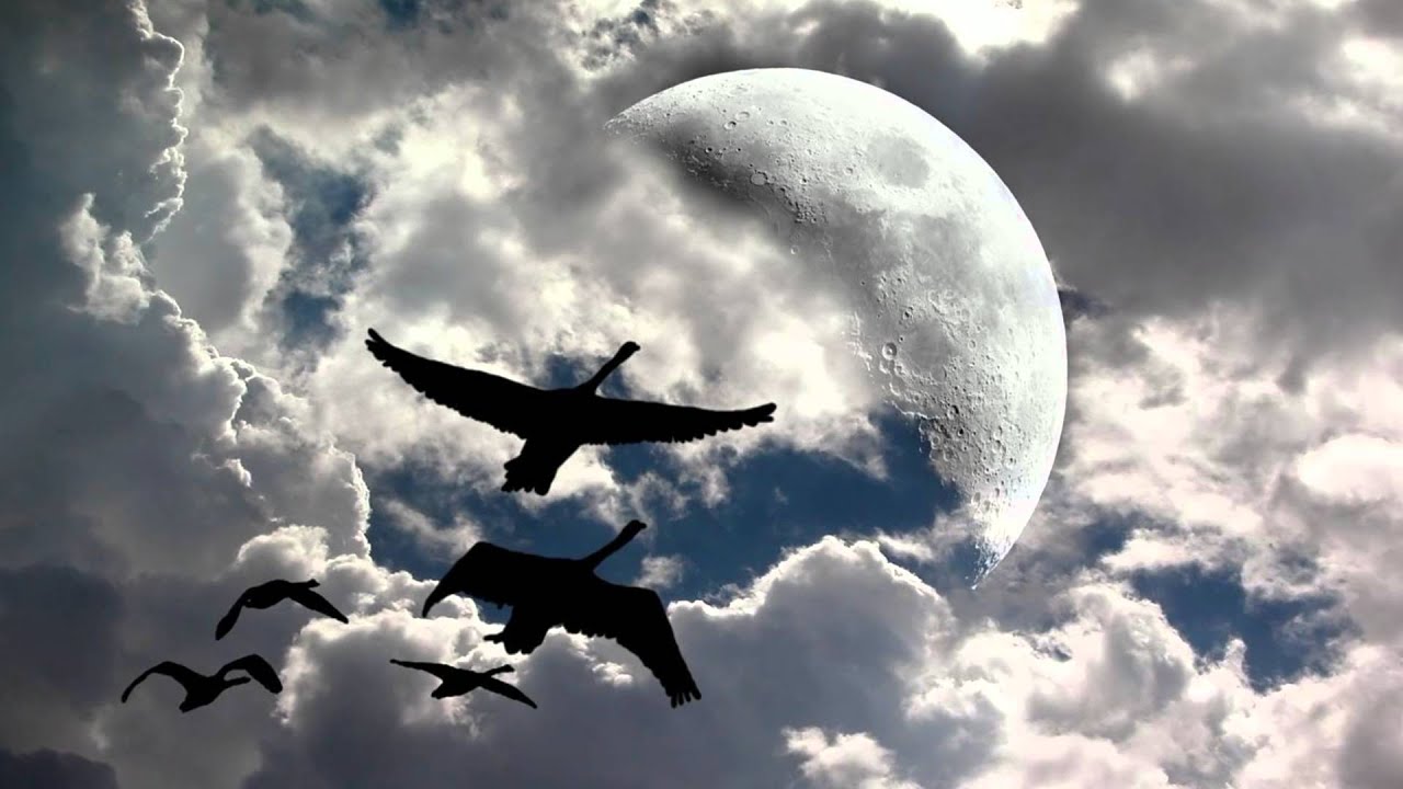 Salt Lake City Jazz Pianist - All Blues