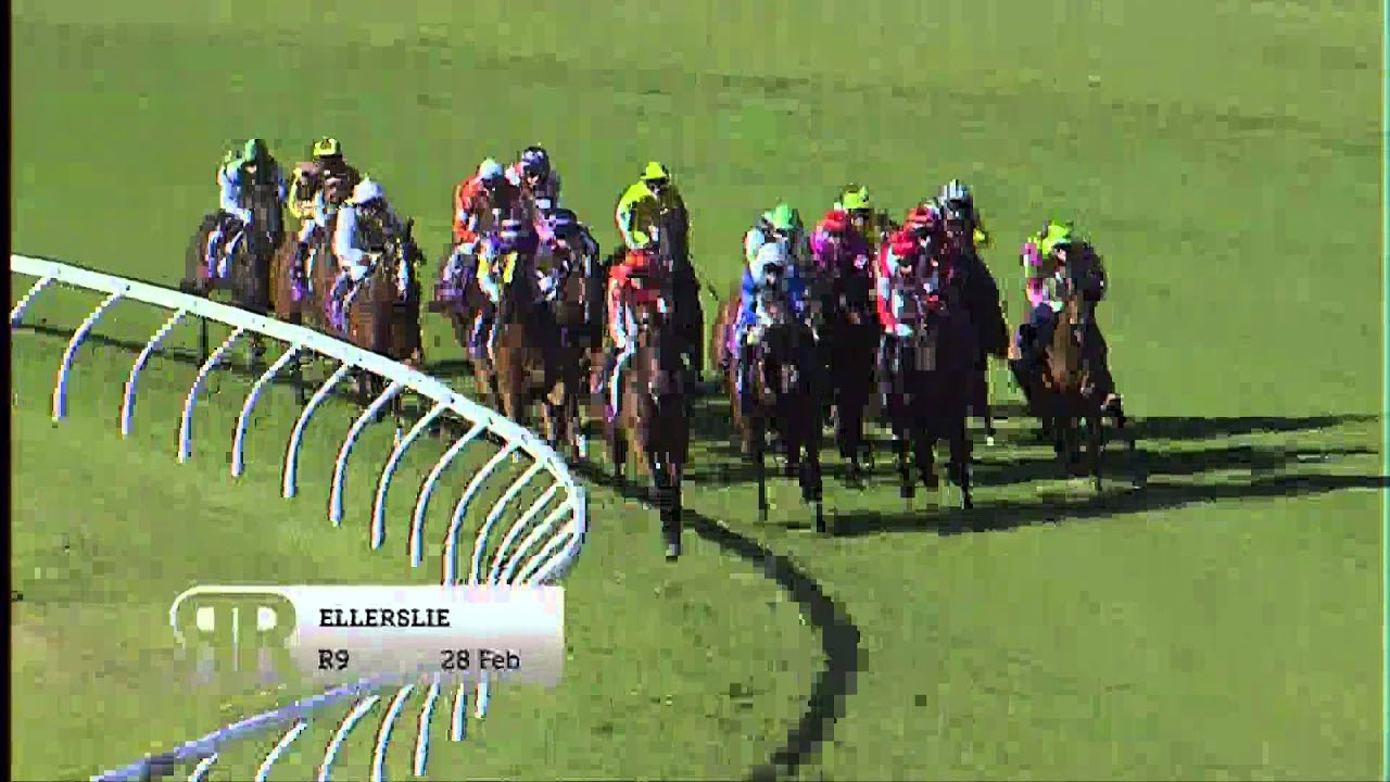 2015 New Zealand Derby YouTube