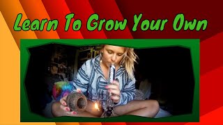 Learn Grow With Kush Santa I grow hydroponic Marijuana for my Medical needs