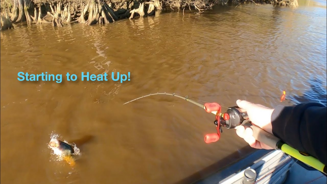 Spring Bass Fishing