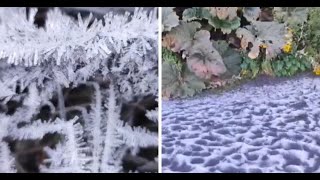 El Irazú Amaneció Congelado Empuje Frío Cubre De Escarcha La Montaña