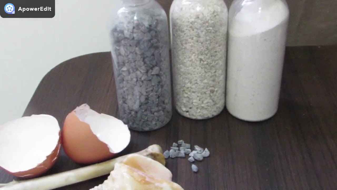 CÁLCIO PARA GALINHA, OVOS DE CASCA MOLE, CALCÁRIO CALCÍTICO... VEJA ISSO E MUITO MAIS