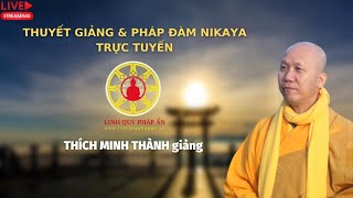 Tinh Hoa NIKAYA - Nghệ Thuật Sống An Vui 5 & Trả lời câu hỏi