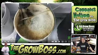 Grow boss- @medically fit response video- someone doesnt know how to grow