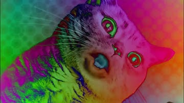 Preview 2 Numa Cat 2022 V2 Effects (Preview 2 Effects)