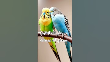 #تلاوة_خاشعة #إسلام_صبحي #تلاوة_هادئة #خواتيم_سورة_المؤمنون #سورة_المؤمنون #قرآن_كريم #اكسبلور #لايك