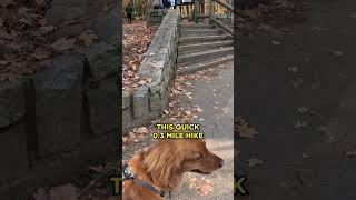 I Explored Sabbaday Falls And Discovered Its Hidden Gems