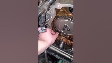 Completely Normal LS timing chain.