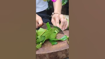 Chữa viêm da cơ địa bằng loại lá mà nha ai cũng sẽ có #chămsócda #viemdacodia #kinhnghiệm #meday