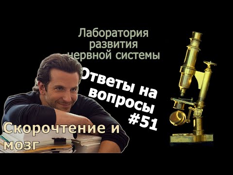 Скорочтение и мозг