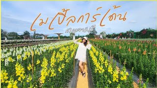 🎯เนเน่รีวิว🎯 EP:12สวนดอกไม้และบุฟเฟ่ต์ลำไยไม่อั้น‼️ Maple Gardens สวนเมเปิ้ล จ.กาญจนบุรี Update ปี66