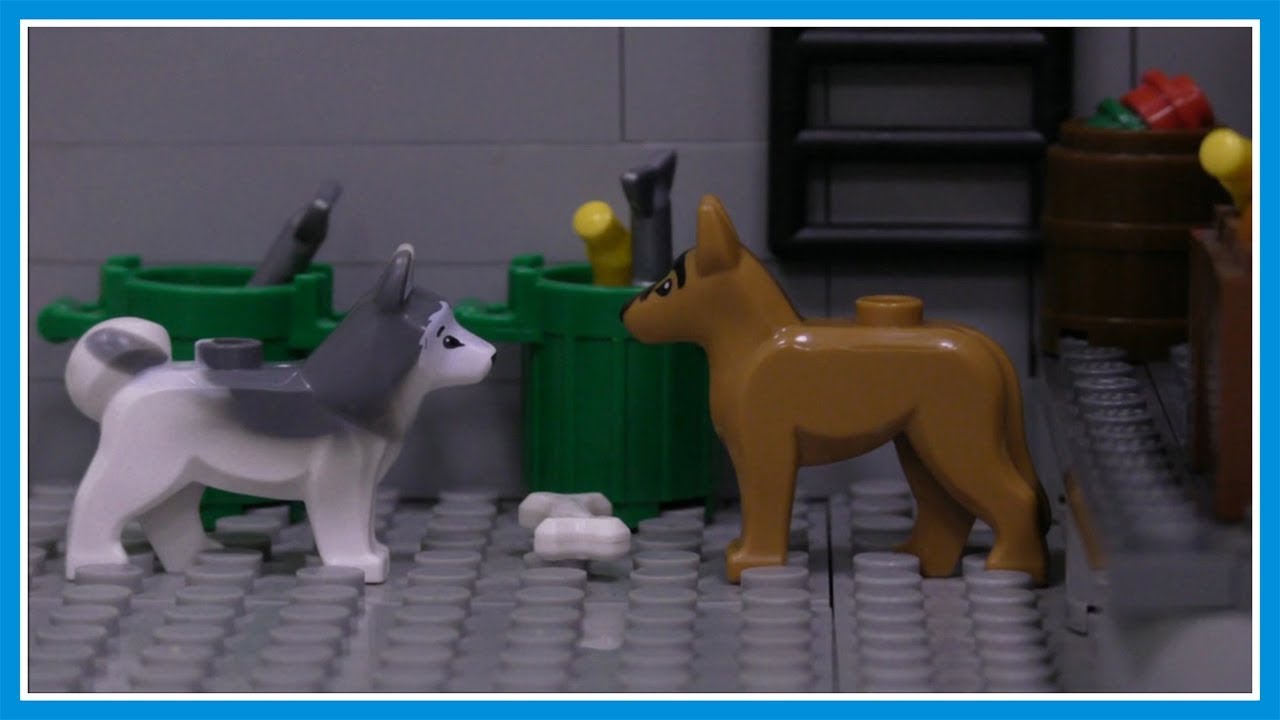 Бродячие собаки и бездомные животные - Lego Мультфильм - YouTube
