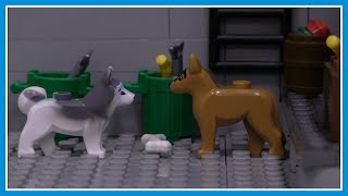 Бродячие собаки и бездомные животные - Lego Мультфильм