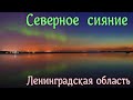 Невероятное зрелище.Северное сияние. Ленинградская область.Northern lights